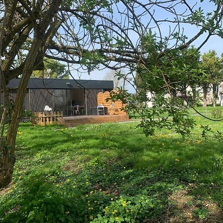 L'Endroit : Studio De Jardin Adapte Pmr 40M2 Aigrefeuille-d'Aunis Luaran gambar